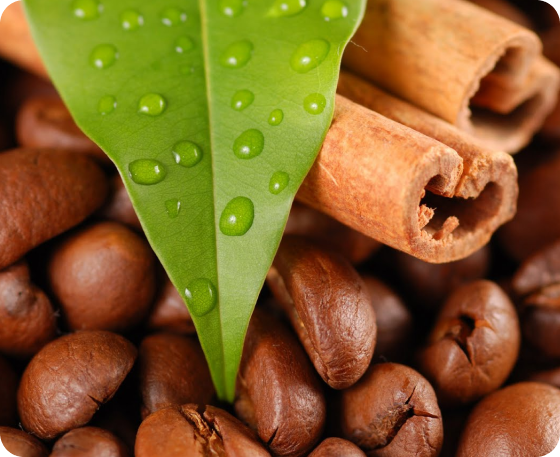 "We always rely on timely deliveries and correct service."